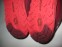 Кросівки SCOTT t2 kinabalu 3.0 trail running shoes lady (розмір US6.5/UK4/EU37.5(на стопу до 235 mm)) - 11