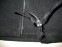 Jacket JACK WOLFSKIN nanuk 200 fleece jacket (size L) - 5