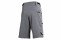 IXS tema 6.1 trail shorts (size L) - 1