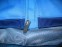 Велокуртка PEARL IZUMI select escape softshell cycling jacket (розмір L) * - 8