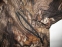Куртка LAKSEN mossy oak hunting jacket (розмір 52-L/XL) - 4