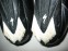 Велотуфлі SPECIALIZED sport road black shoes (розмір US11/UK10/EU44 (на стопу до 283 mm)) - 6