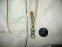 WOOLRICH jacket lady (size S) - 8