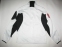 Кофта  PHENIX Norway World Cup Aerotherm (размер 50/L) - 2