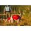 Рюкзак для собак RUFFWEAR palisades dog pack (размер М) - 12