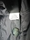 Пальто THE NORTH FACE Primaloft Coat lady (размер S)* - 14